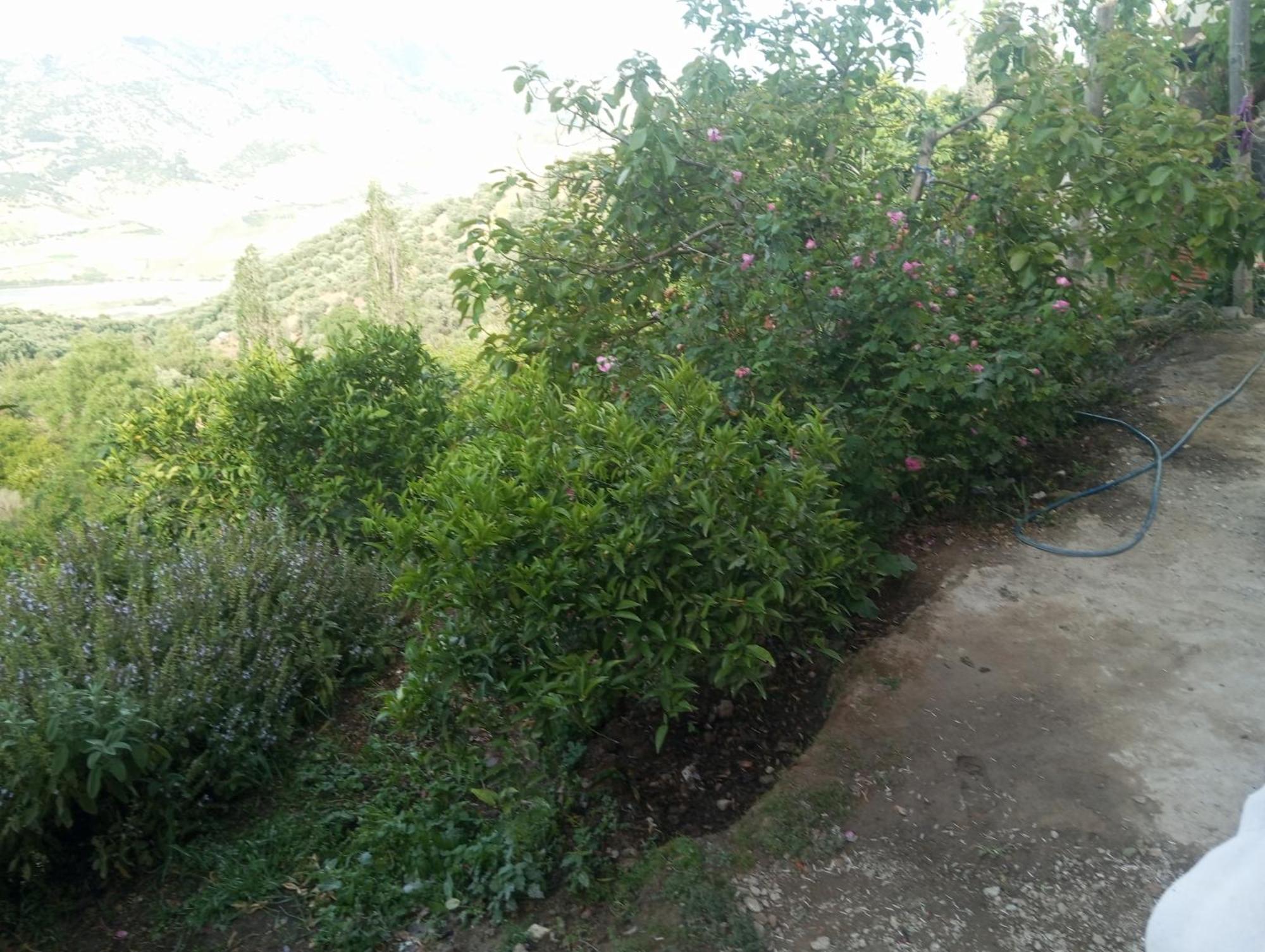 Ferienwohnung Dar Lala Zhour Douar Ain Bouchrik Exterior foto